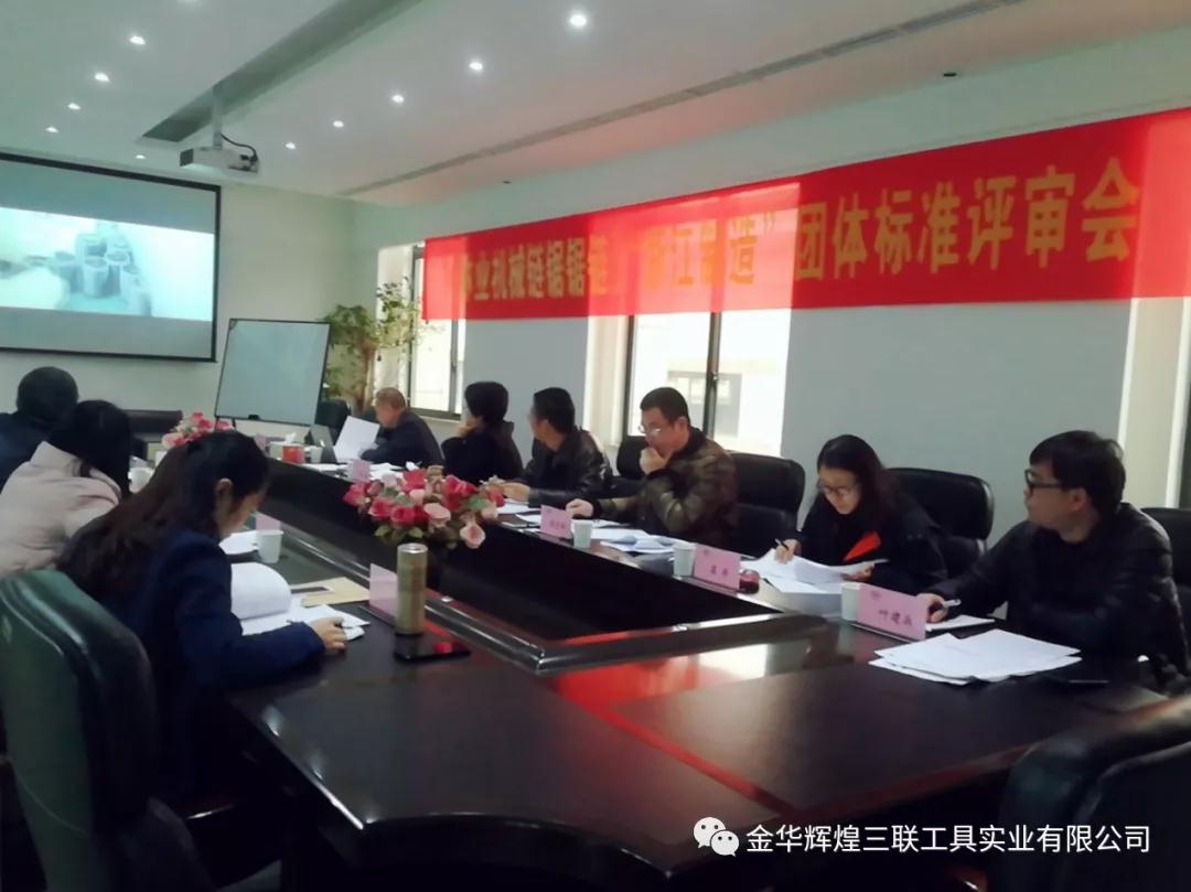 Standard&uuml;berpr&uuml;fungstreffen der Saw Chain Group